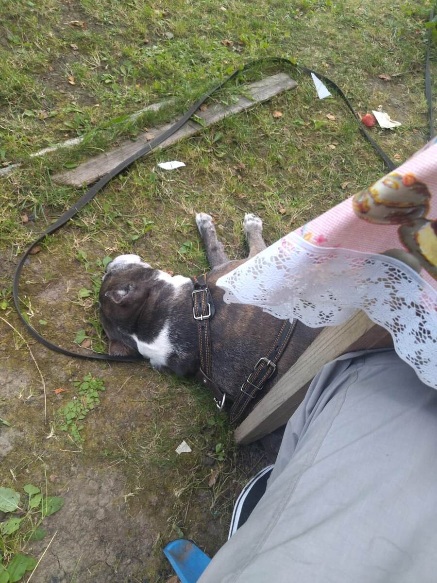 Увы за весь отпуск это единственное фото которое папа мне прислал ,так ка связь отсутствует.