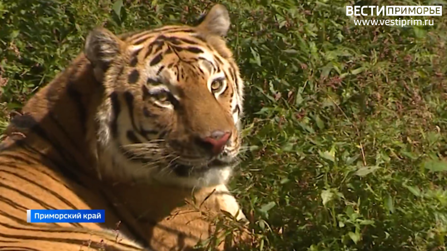    Источник фото: