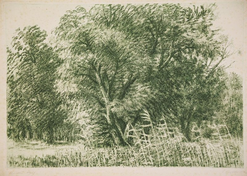 Павел Куценко. Зеленый наряд.  Из цикла «Пейзажи Украины». 1972. Бумага, офорт. Собрание Оренбургского областного музея изобразительных искусств.