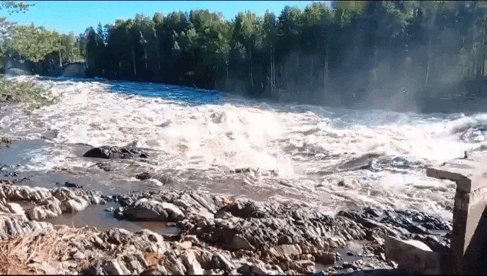    Видео t.me/pdmnews