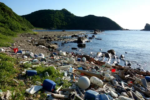 загрязнение озера нелюдями