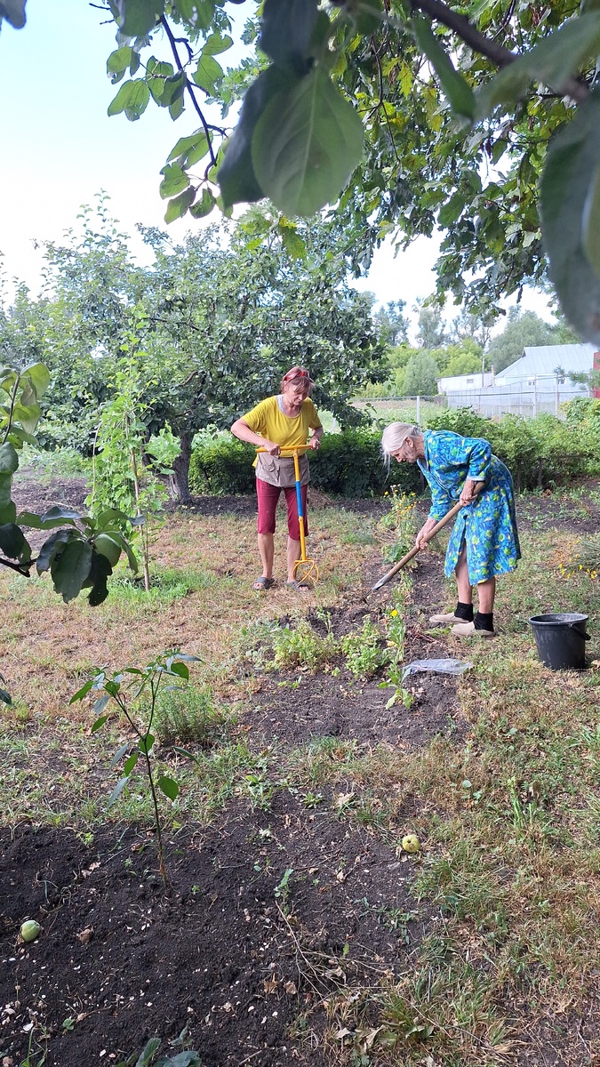 Люда с мамулькой мяту перечную сажают, я папарацци