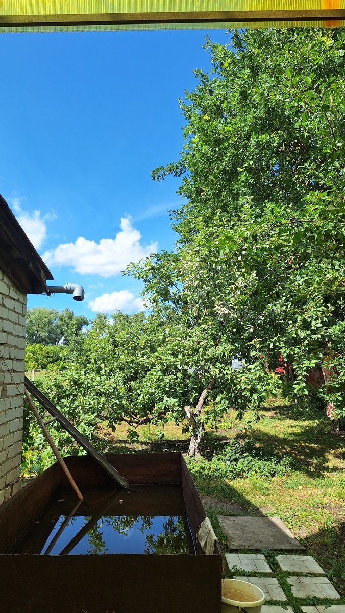 Сижу и кругом тишина