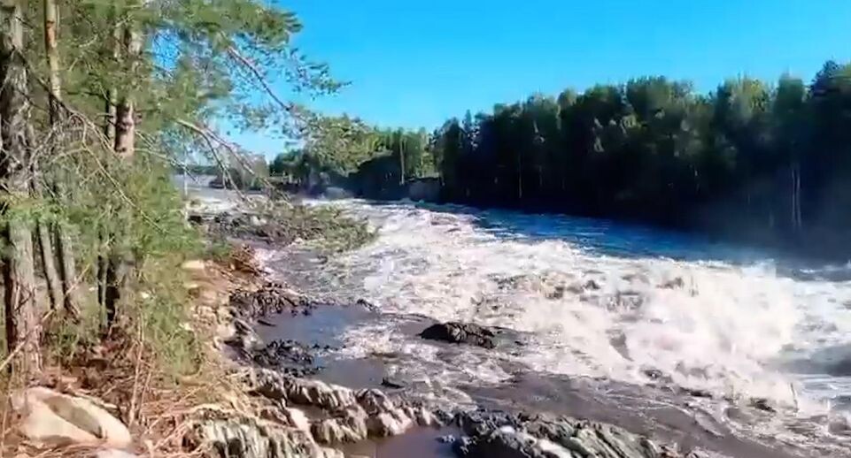    Стоп-кадр видео из соцсетей