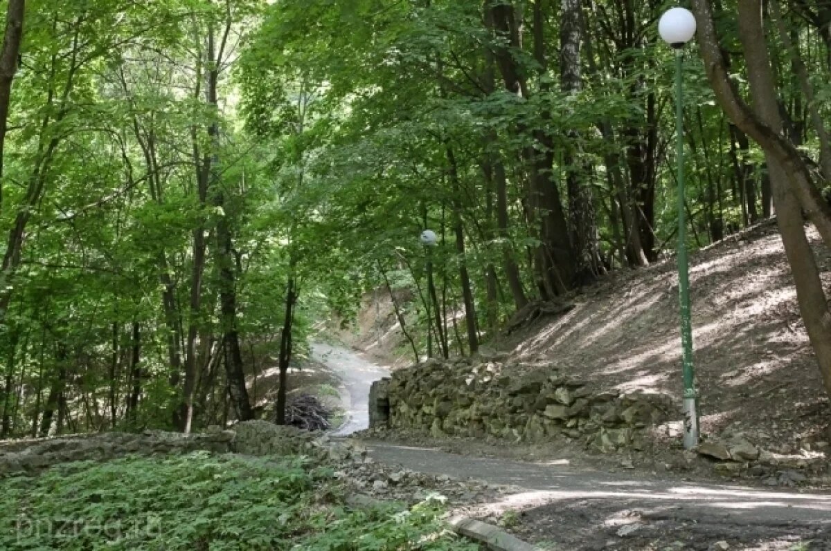    Обновленная Тропа здоровья в Пензе будет заканчиваться на улице Красная