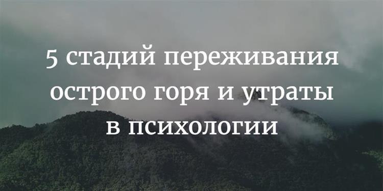 Взято из открытых источников интернета
