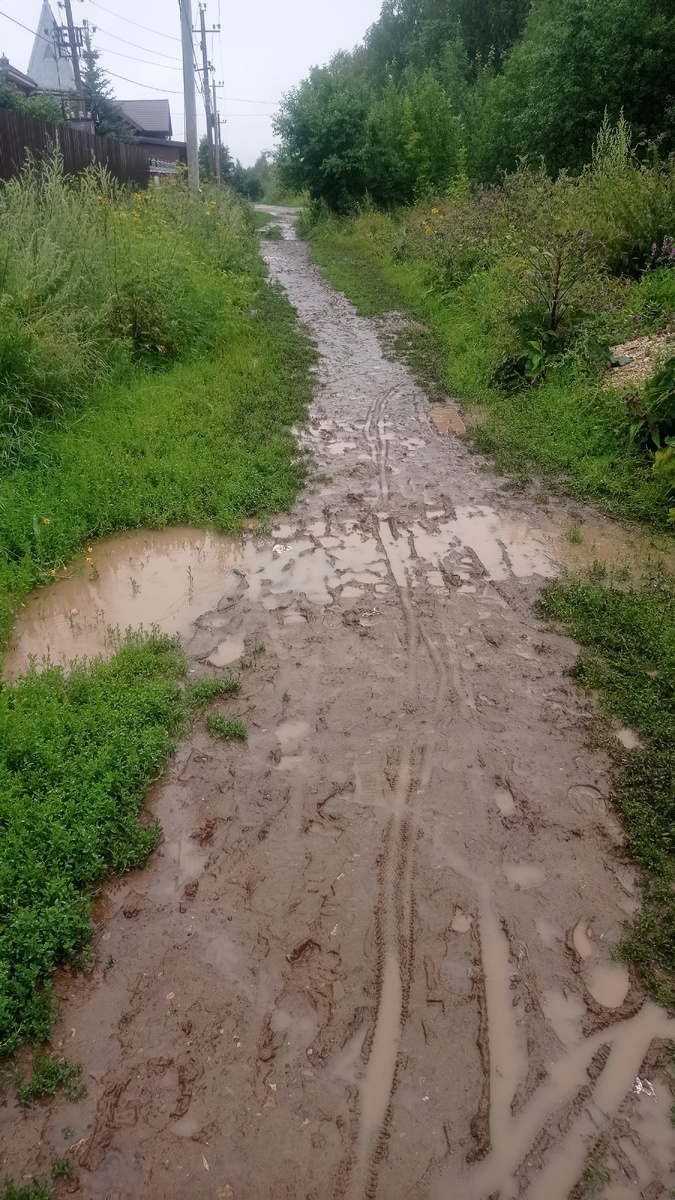 Прошла по дорожке. Можно было обойти по другой улице, но это намного дольше. Принесла всё, потом ещё в магазин сходила. 