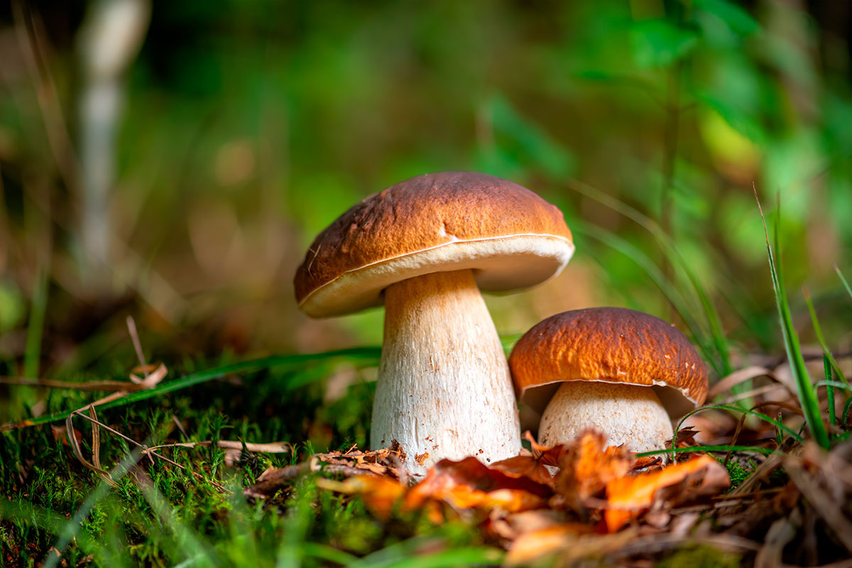    Фото: ON-Photography Germany / Shutterstock.com