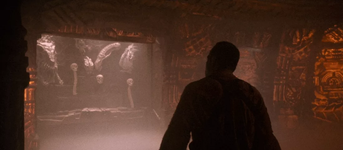 Добавьте описание