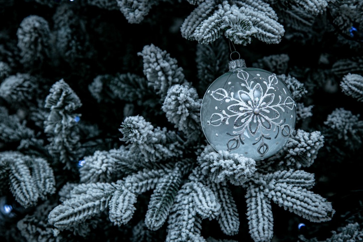 Фото: Гала Амарандо