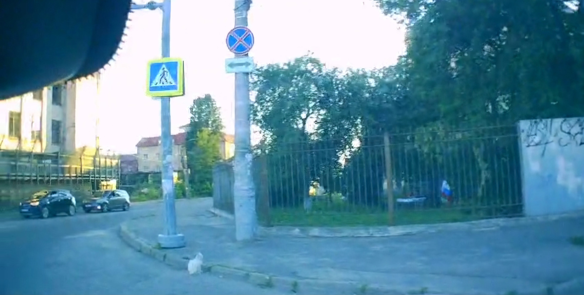 Глухой кот на перекрестке