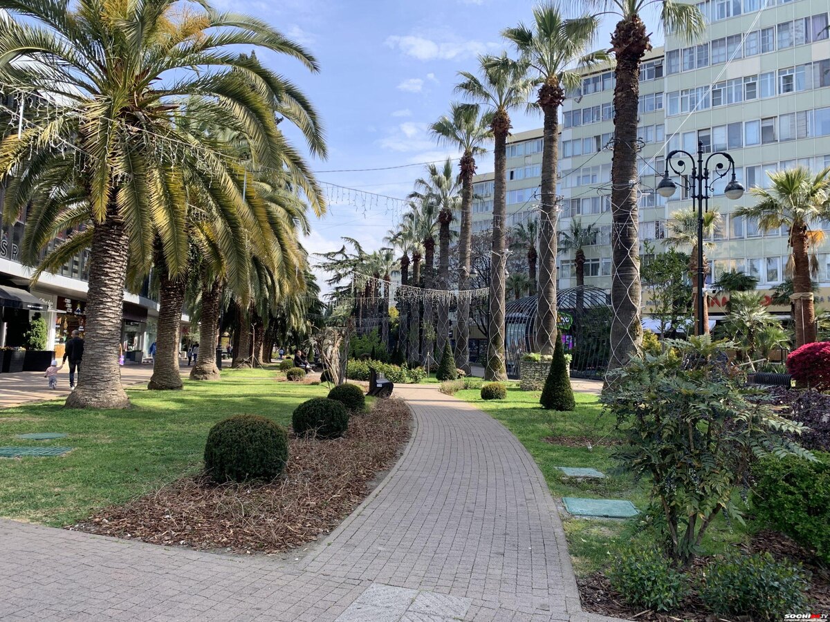    фото: Сочи 24 writ2