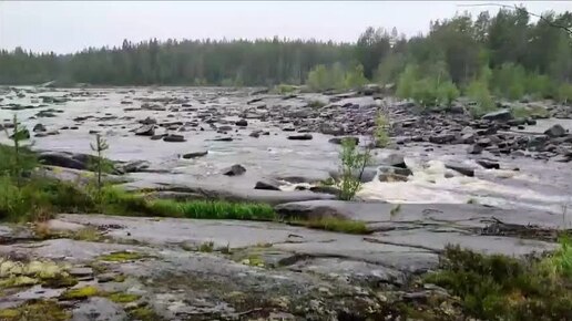 Лоси, рыбы, птицы. Первобытные художники на камнях мастерски изобразили свои видение окружающего мира