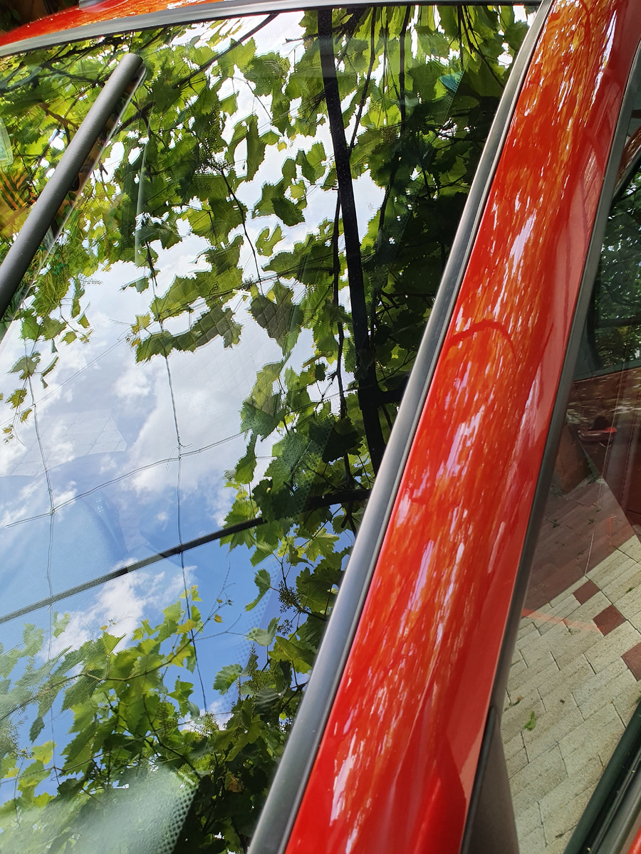 Установленные водосгоны