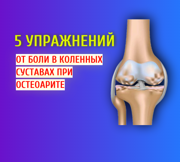 Остеоартрит. Боль в колене. Реабилитация, ЛФК для сустава.