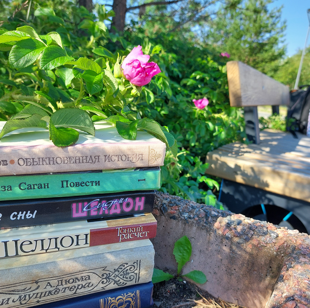 Фото: Козынцева У.