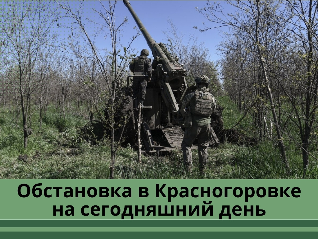 Фото: aif.ru