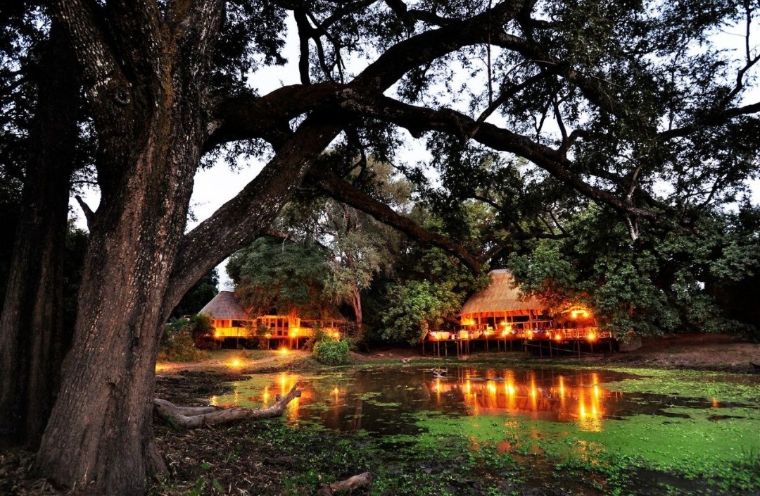 Billimungwe BushCamp. Южная Луангва