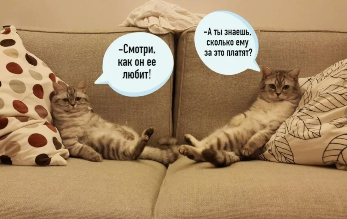 источник Яндекс-картинки