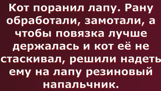 Заходите в гости! Не пожалеете! Анекдоты и смешные ролики