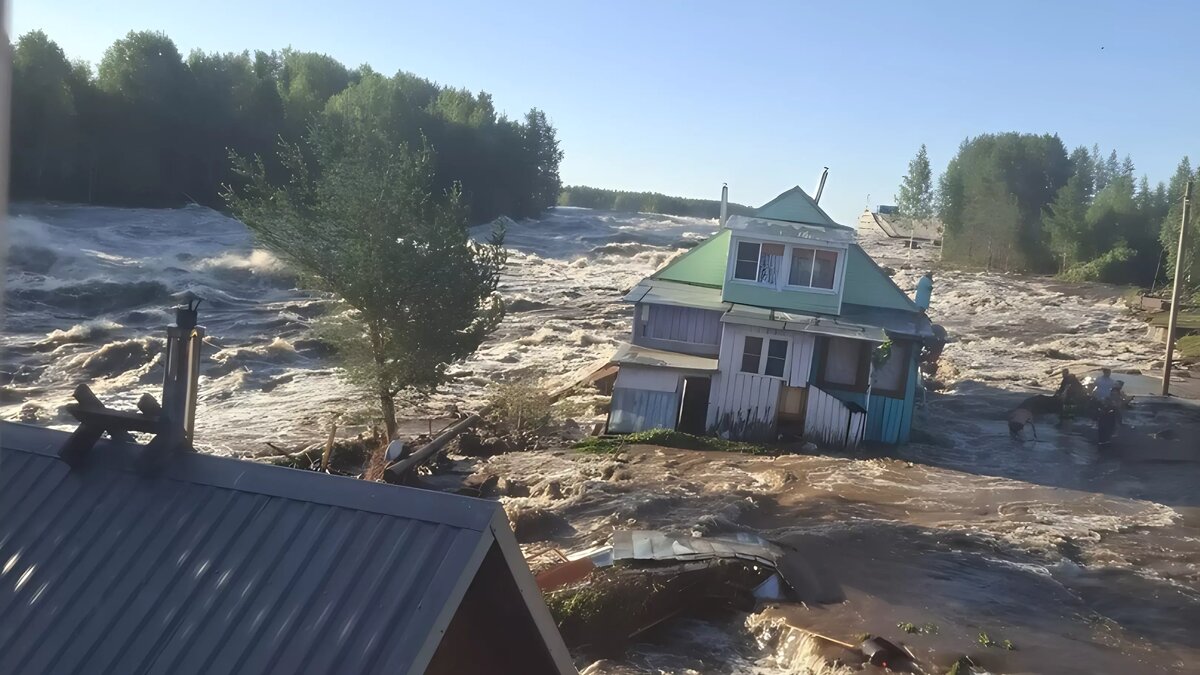     Источник: Сегежа слушает | Online