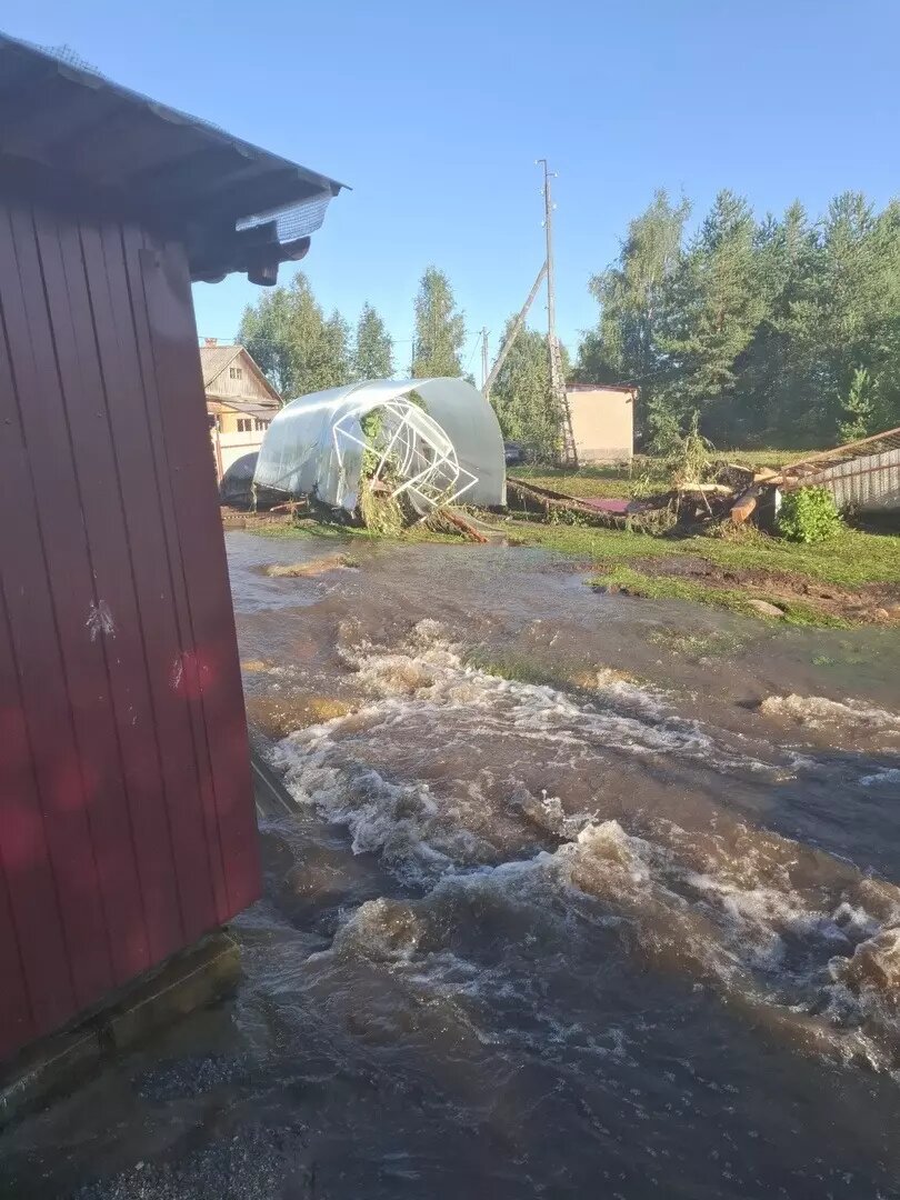     Источник: Сегежа слушает | Online