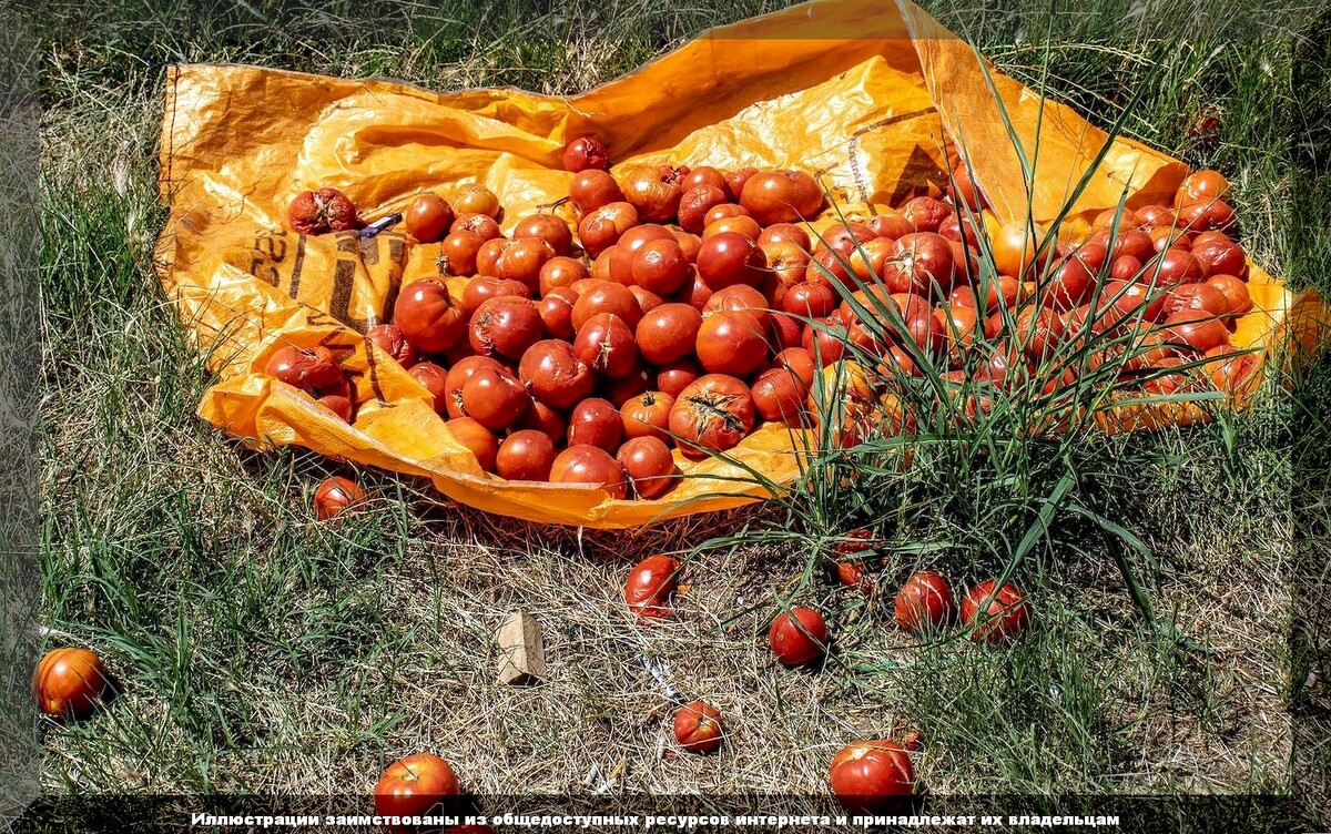 https://vk.com/photo-159774511_457266330