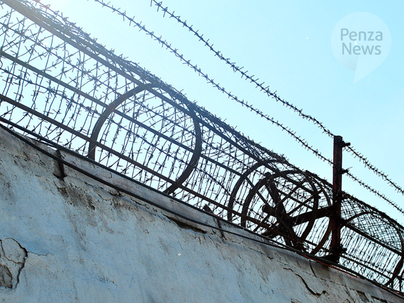    © Фото из архива ИА «PenzaNews»
