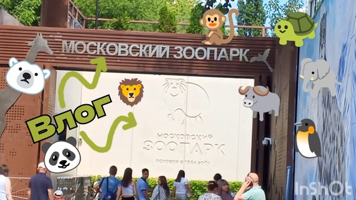 Влог из Московского зоопарка🦁🦝🦬🐘🐆🦩🐢🐼🐻‍❄️!