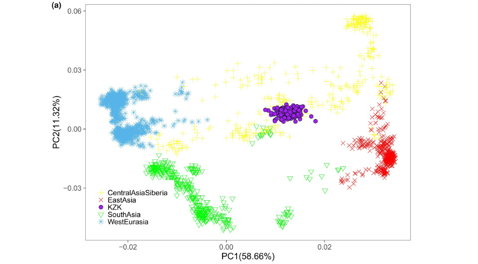   Chang Lei et al. / Molecular Biology and Evolution, 2024