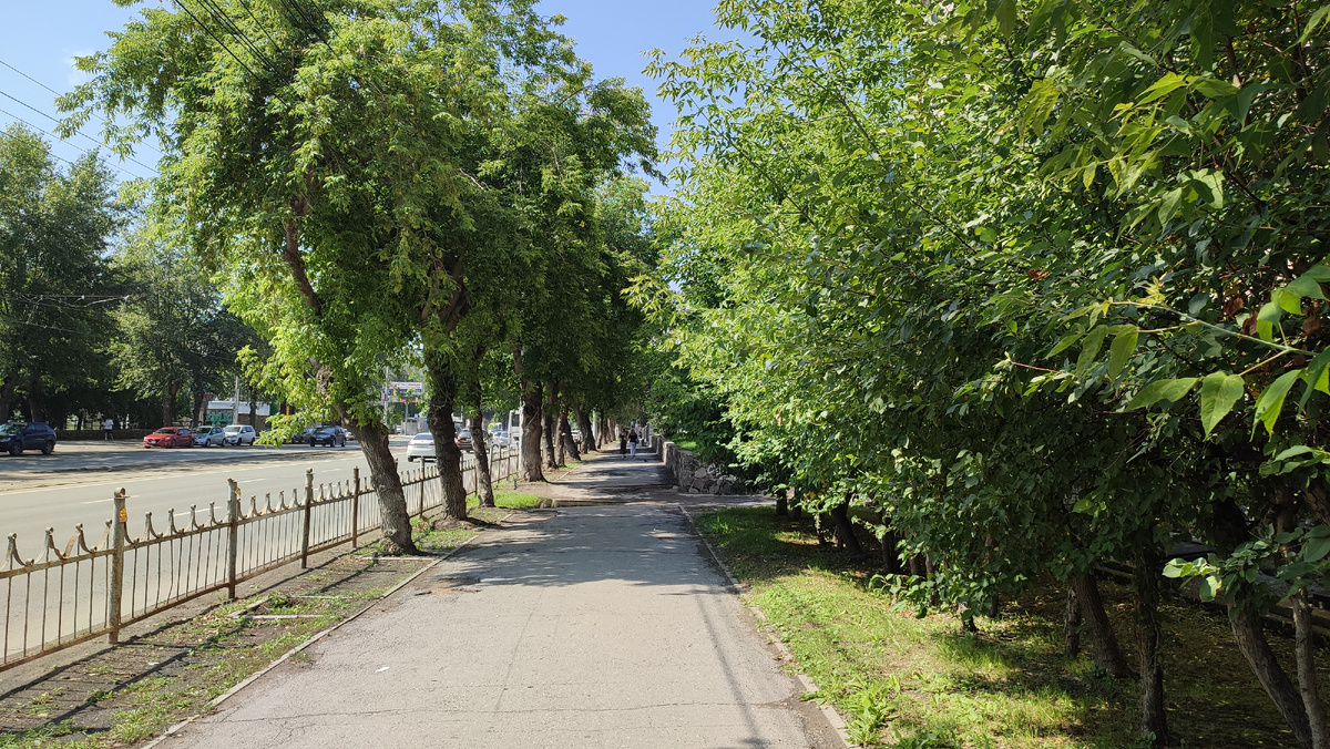 Новосибирск, лето 2024