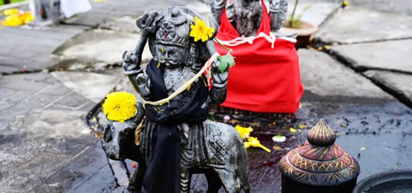 Автор фотоhttps://www.istockphoto.com/it/Dietmar Rauscher