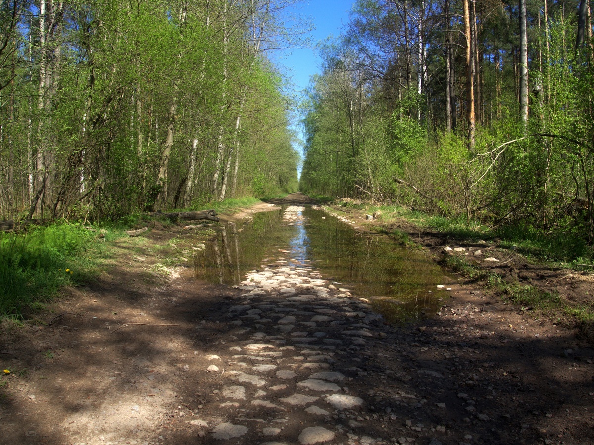 Старая, мощёная камнем дорога