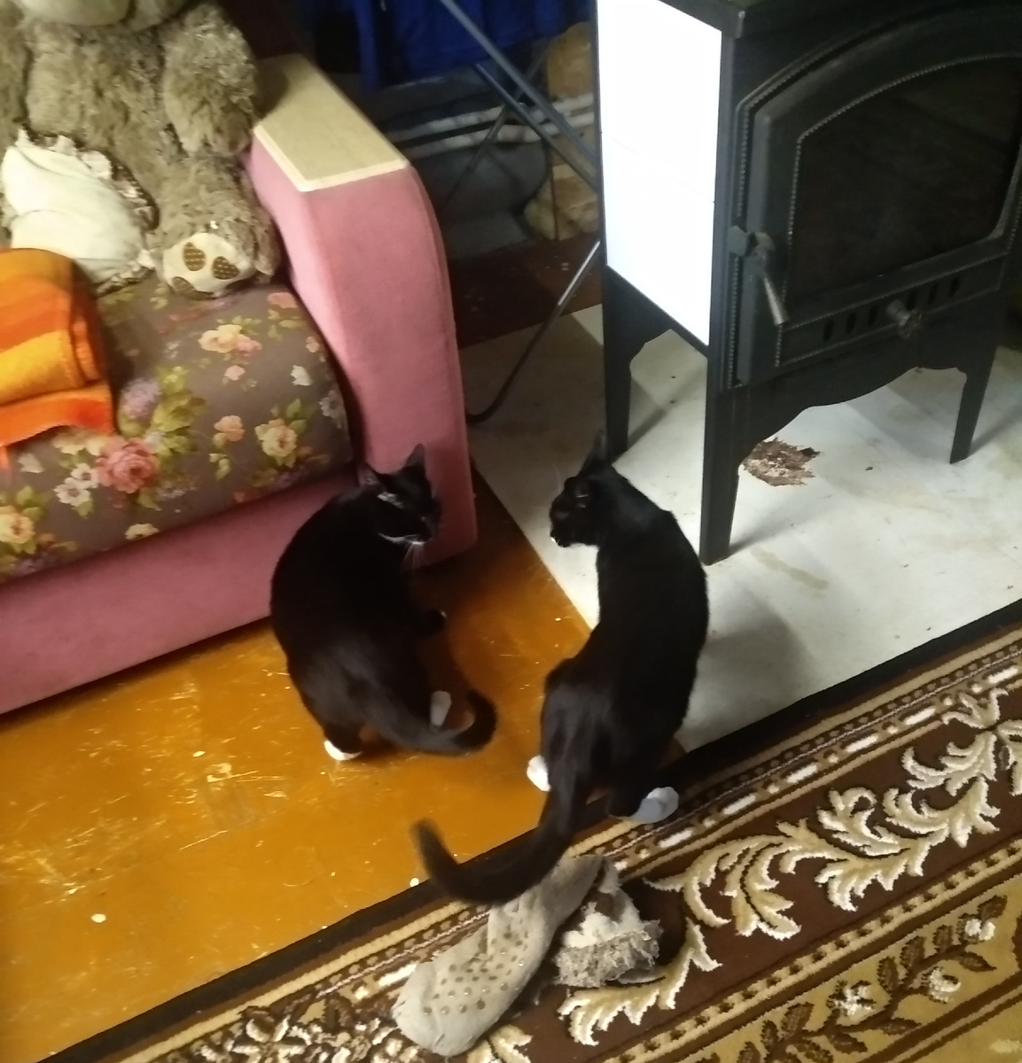 Люся и Мотя