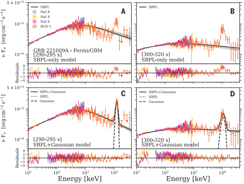   Maria Edvige Ravasio et al. / Science, 2024