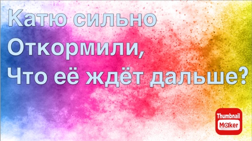 Всё в кучу. Катю сильно откормили,что её ждёт дальше?