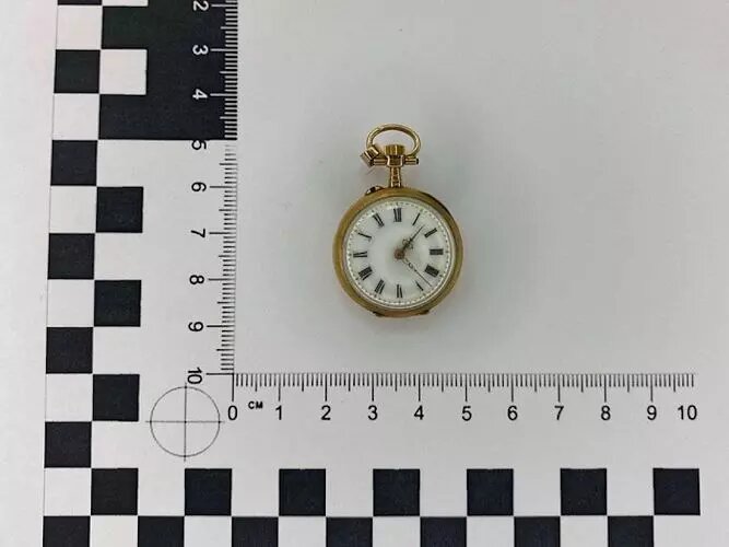     Автор: Южное таможенное управление