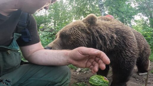 Спасибо Друзьям за помощь в сборе денег на новую игровую для Мансура!