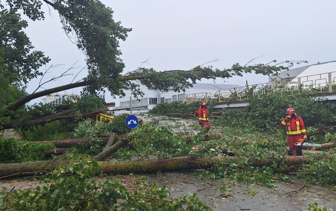 Спасательная служба устраняет последствия шторма в Латвии © соцсети / ГПСС
