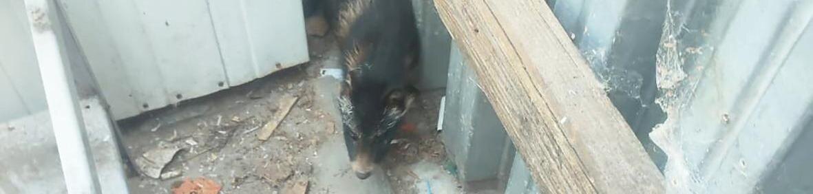    Фото: экоохотнадзор Белгородской области