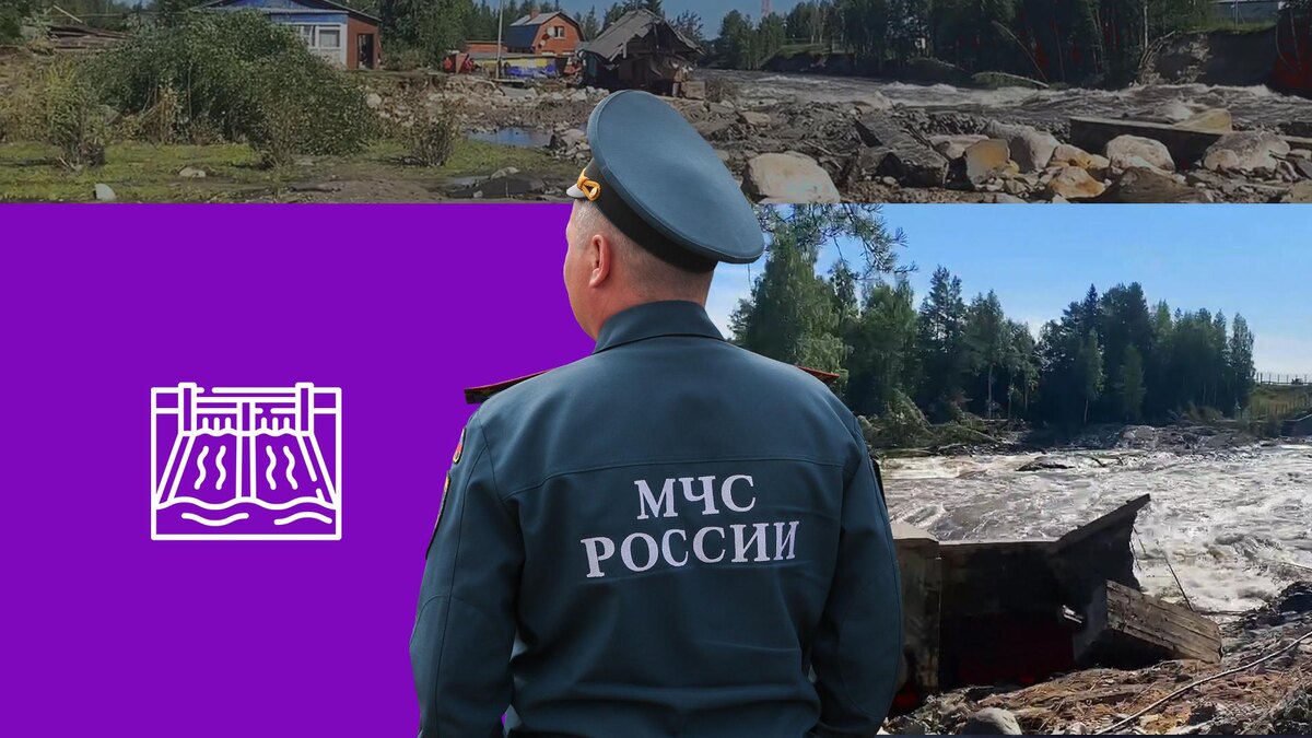 Коллаж 78.ru: Petrov Sergey/globallookpress.com, пресс-служба СУ СК России по Республике Карелия, flaticon.com/Freepik 