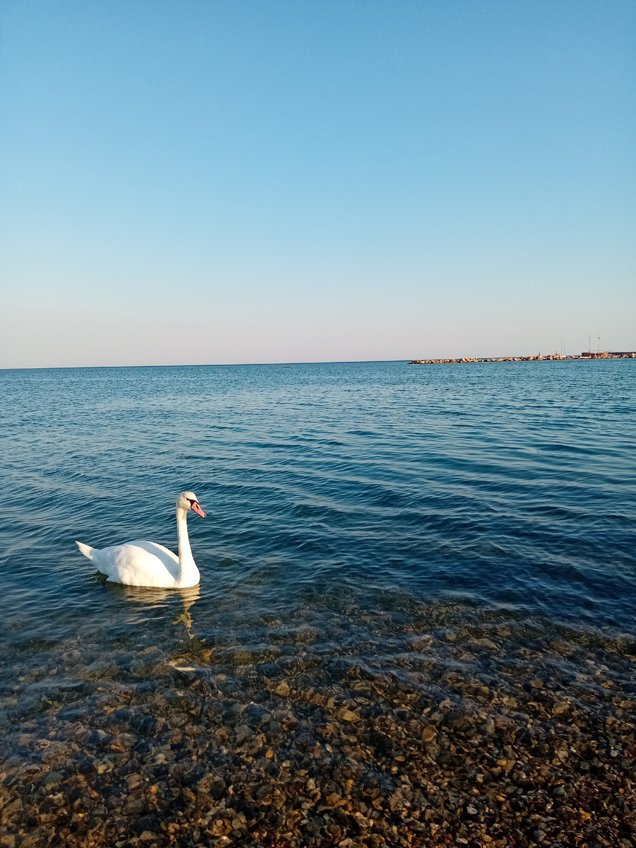 Личные фото.