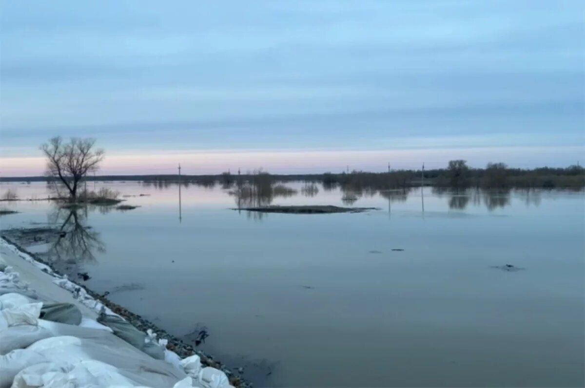    Власти Свердловской области рассказали, угрожают ли региону наводнения