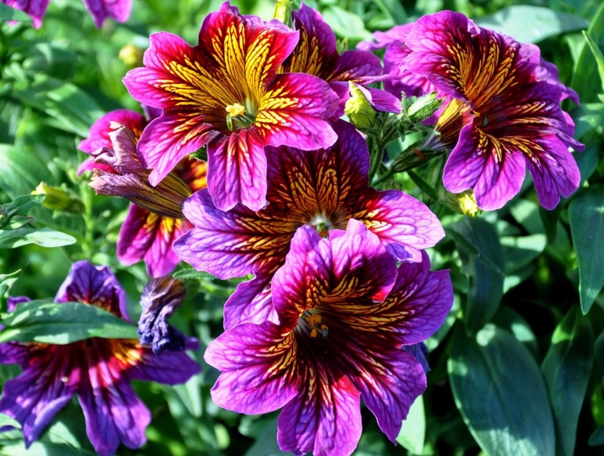 Фото из интернета.