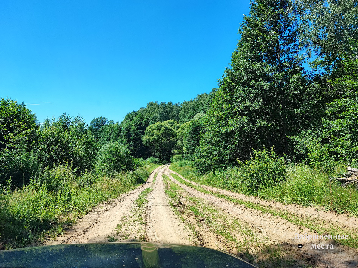 Дорога к Покровской церкви и урочищу Логино, Калужской области. 