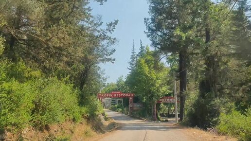 Приехали в ресторан на реке поесть свежей рыбки, в Улупинар