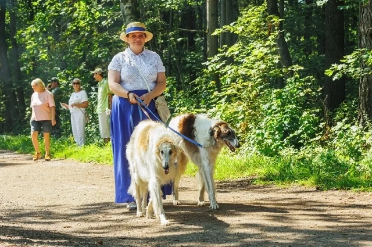    3 августа в Ясной Поляне пройдет охотничий фестиваль