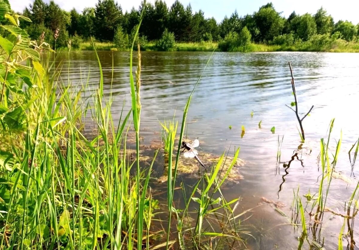    В Нижний Новгород вернется жара в 30 градусов