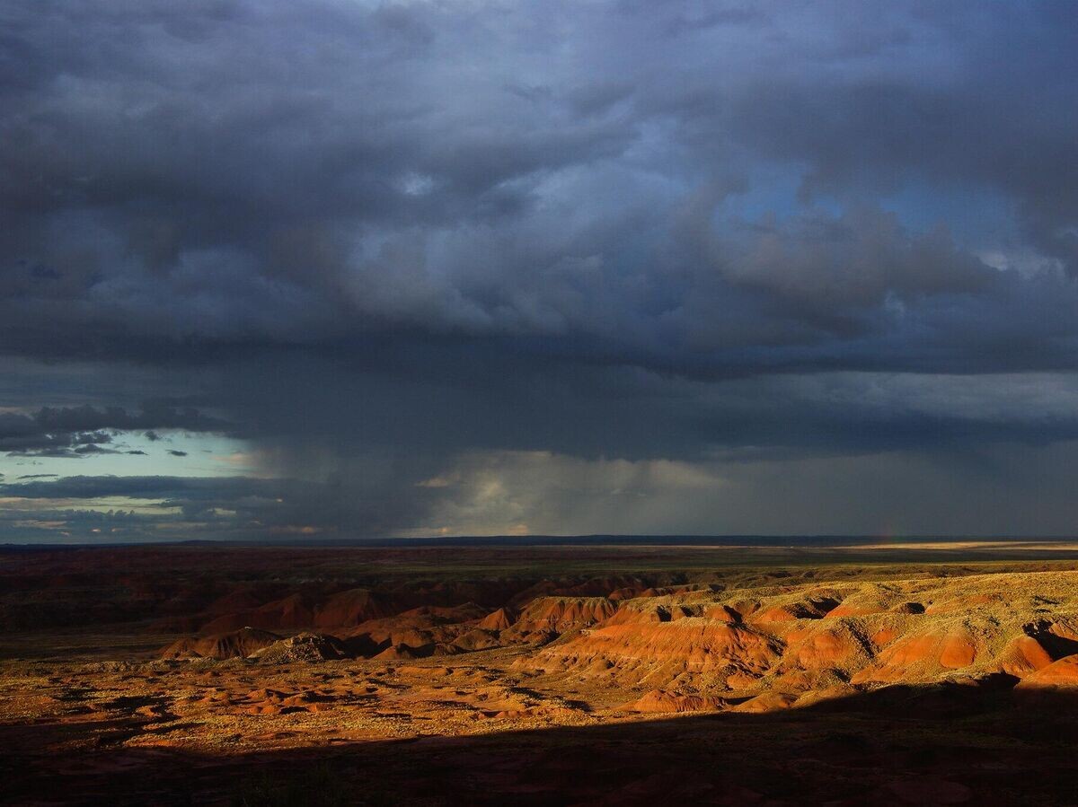    Дождь в пустынеCC BY 2.0 / Petrified ForestNPS / Painted Desert During the Monsoon