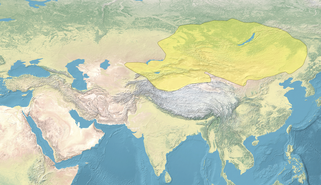 Территория Кыргызского каганата. «Кыргызский каганат – древнее государство, располагавшееся на территории современной России»: история